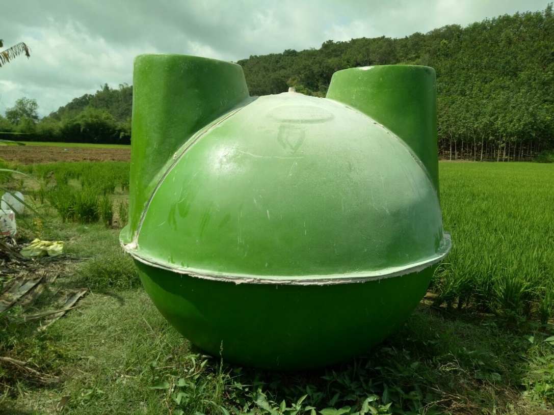 Hầm Biogas cho Nông Dân Sầu Riêng: Giải Pháp Xử Lý Chất Thải và Tiết Kiệm Chi Phí